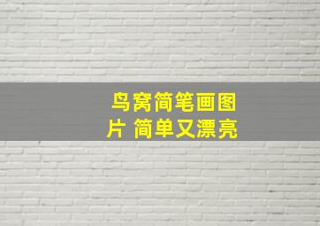 鸟窝简笔画图片 简单又漂亮